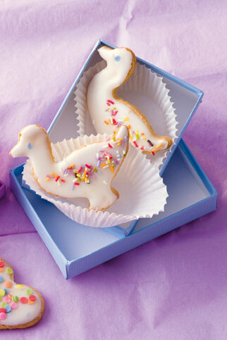 Martinsgänse Martinsgänse