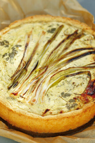 Quarkkuchen mit Kräutern und Frühlingszwiebeln Quarkkuchen mit Kräutern und Frühlingszwiebeln