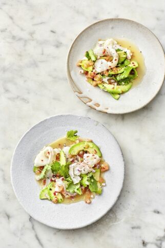 Kabeljau-Ceviche mit Avocado Kabeljau-Ceviche mit Avocado