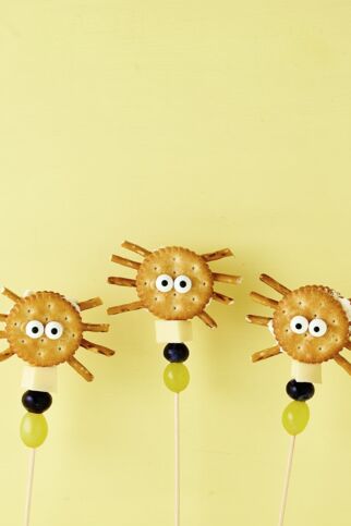 Knabberspinnen Knabberspinnen