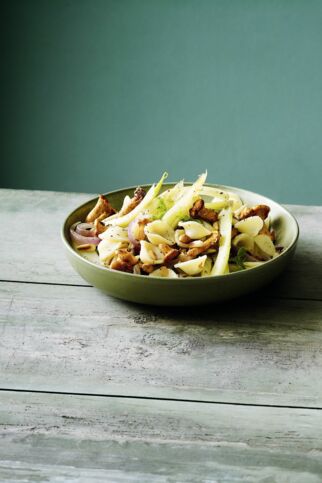 Fenchel-Pilz-Pasta Fenchel-Pilz-Pasta