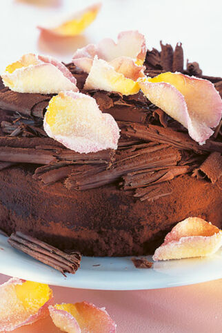 Espresso-Mascarponekuchen Espresso-Mascarponekuchen