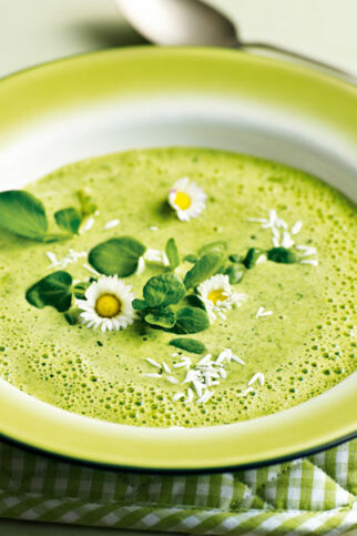 Kressesuppe mit Gänseblümchen Kressesuppe mit Gänseblümchen