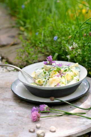 Kartoffelsalat mit Kräutern Kartoffelsalat mit Kräutern