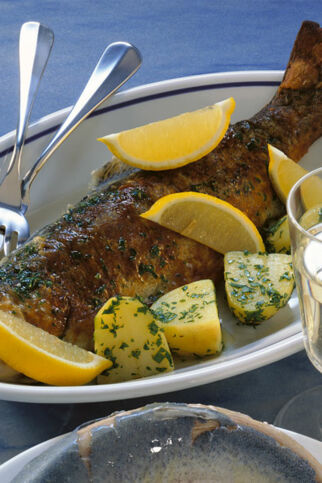 Forelle Müllerin Forelle Müllerin