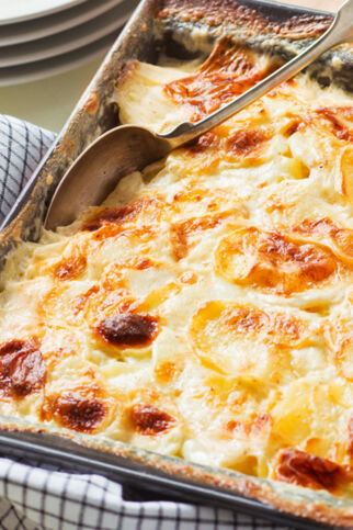 Kartoffelgratin Kartoffelgratin