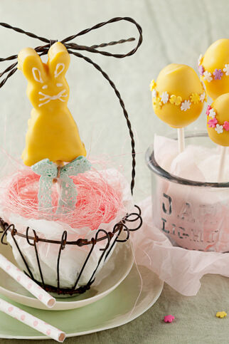 OSTER-CAKE-POPS OSTER-CAKE-POPS
