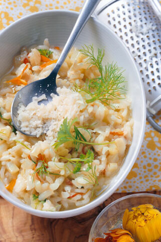 Fenchelrisotto mit Ringelblumen Fenchelrisotto mit Ringelblumen