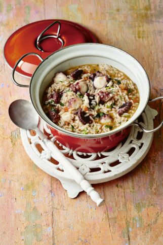 Oktopusreis Oktopusreis