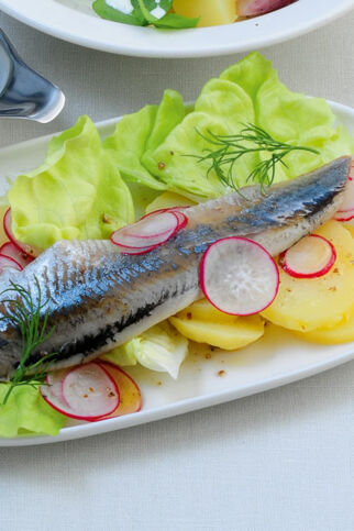 Friesischer Salat mit Matjes Friesischer Salat mit Matjes