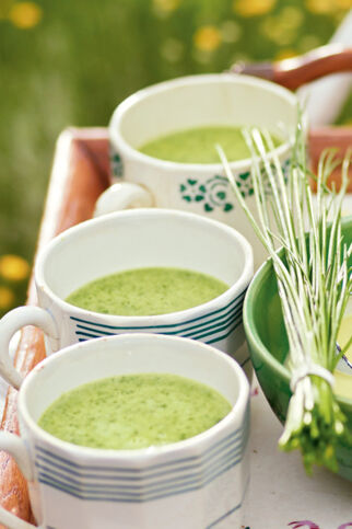Brunnenkresse-Cremesuppe Brunnenkresse-Cremesuppe