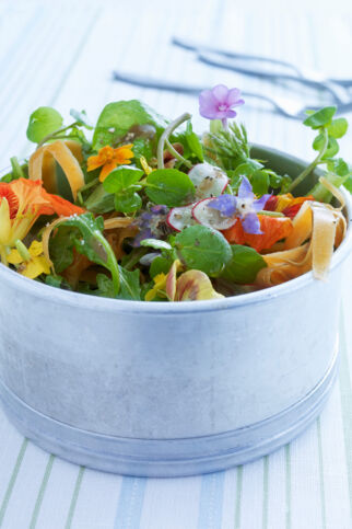 Frühlingssalat mit Blüten Frühlingssalat mit Blüten