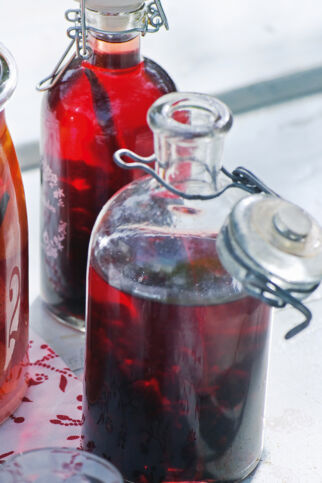 Gewürzter Johannisbeerlikör Gewürzter Johannisbeerlikör