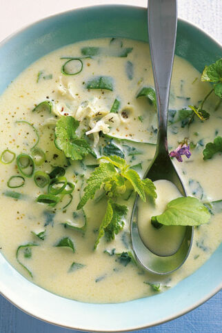 Wildkräutersuppe Wildkräutersuppe