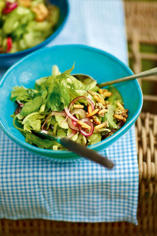 Stangenselleriesalat mit roten Zwiebeln Stangenselleriesalat mit roten Zwiebeln