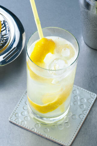 Schnell geschüttelt: Gin Fizz Schnell geschüttelt: Gin Fizz