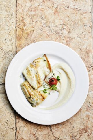 Barramundi in Zitronenbuttersauce Barramundi in Zitronenbuttersauce