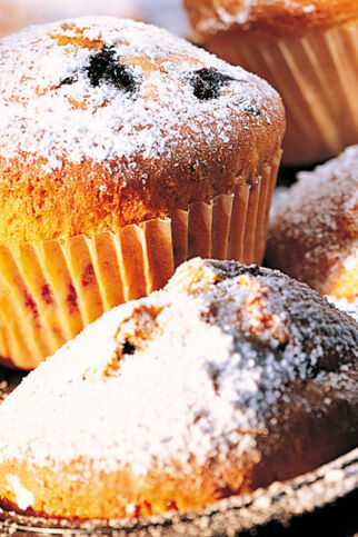 Blueberry Muffins Blueberry Muffins