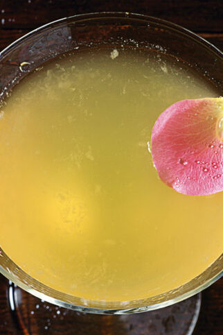 Mayflower Martini Mayflower Martini