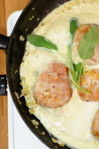 Schweinemedaillons in Zitronenrahm Schweinemedaillons in Zitronenrahm