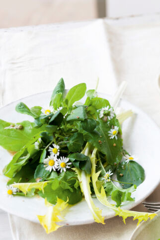 Wildkräutersalat mit Holunderblüten-Dressing Wildkräutersalat mit Holunderblüten-Dressing