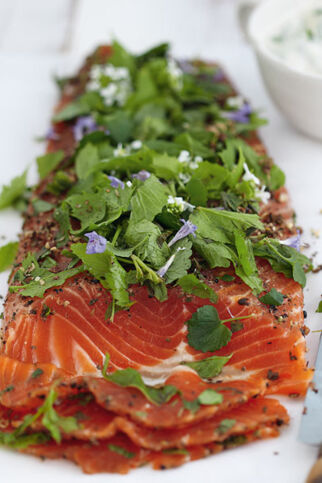 Gebeizte Kräuterforelle Gebeizte Kräuterforelle