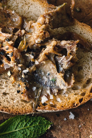 Rillettes de canard - Entenrilettes Rillettes de canard - Entenrilettes