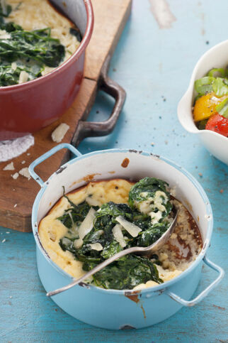 Ricotta-Spinat-Auflauf Ricotta-Spinat-Auflauf