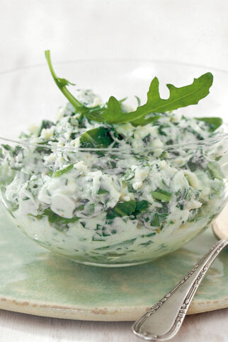Rucola-Käse-Creme Rucola-Käse-Creme