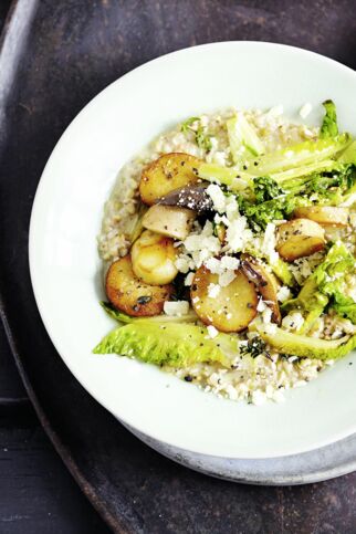 Buchweizen-Risotto mit Pilzen Buchweizen-Risotto mit Pilzen