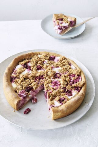 Kirsch-Quark-Kuchen Kirsch-Quark-Kuchen