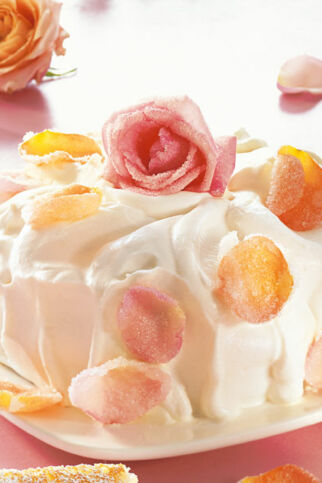 Weiße Schokoladentorte Weiße Schokoladentorte