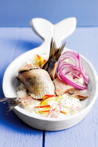 Matjesfilet Hausfrauenart mit roten Zwiebeln und Äpfeln Matjesfilet Hausfrauenart mit roten Zwiebeln und Äpfeln