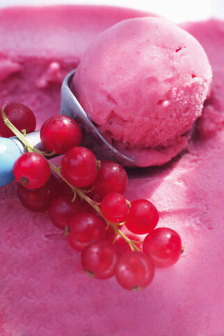 Johannisbeersorbet mit Cassis Johannisbeersorbet mit Cassis