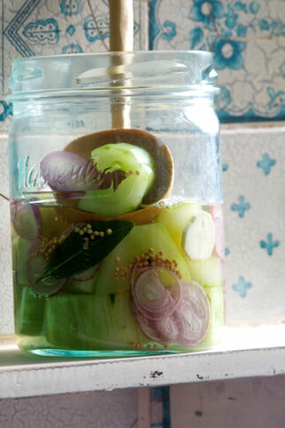 Senfgurken Senfgurken