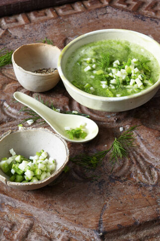 Gurken-Fenchel-Süppchen mit Dill und Äpfeln Gurken-Fenchel-Süppchen mit Dill und Äpfeln
