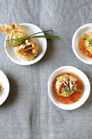 Wan Tans mit Hackfleisch Wan Tans mit Hackfleisch