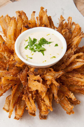 Zwiebelblume Zwiebelblume