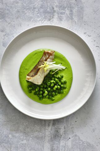 Zander auf Erbsenpüree Zander Erbse Ingwer
