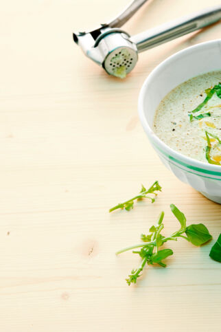 Brokkoli-Basilikum-Suppe Brokkoli-Basilikum-Suppe