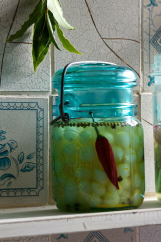 Perlzwiebeln Perlzwiebeln