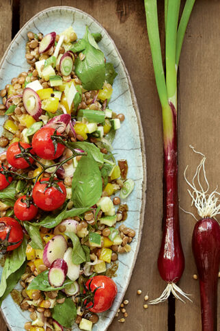 Linsensalat mit Basilikum Linsensalat mit Basilikum