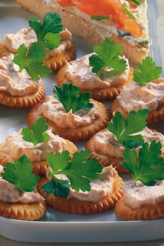 Tunfisch-Käse-Cracker Tunfisch-Käse-Cracker