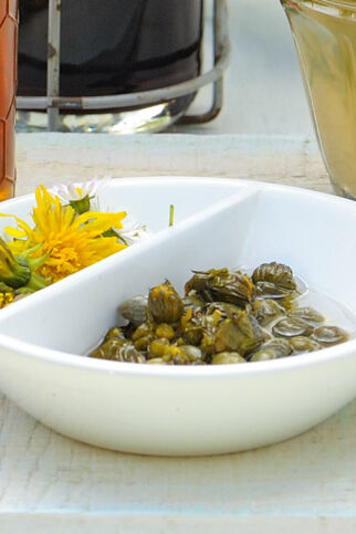 Blütenknospenkapern Blütenknospenkapern