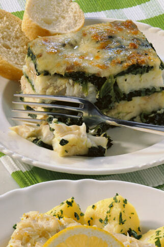 Fisch-Spinat-Auflauf Fisch-Spinat-Auflauf