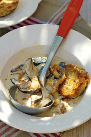 Gebratene Speckknödel mit Pilzragout Gebratene Speckknödel mit Pilzragout
