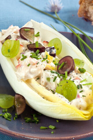 Chicorée mit Quarkfüllung Chicorée mit Quarkfüllung