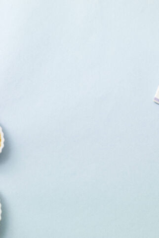 Brombeer-Clafoutis Brombeer-Clafoutis