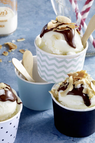 Frozen Yogurt Frozen Yogurt