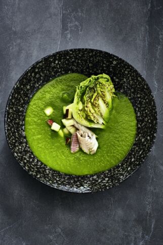 Forelle mit Salatsuppe Forelle mit Salatsuppe